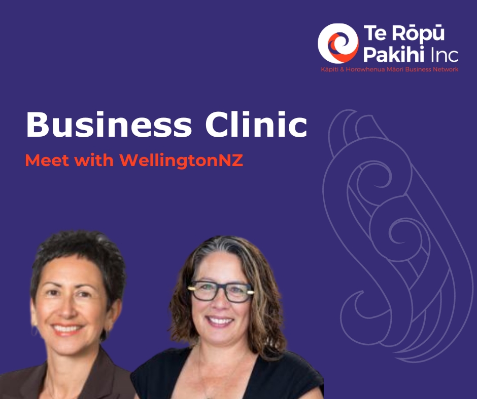 WellingtonNZ Business Clinic